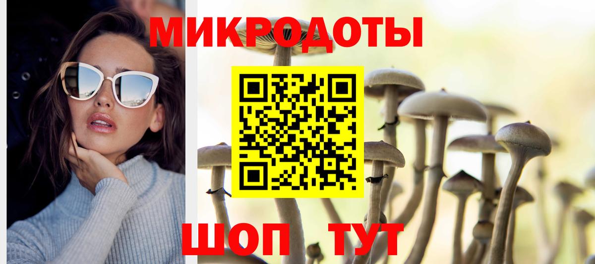 Псилоцибиновые грибы мицелий  Вход с VPN  Балтийск 